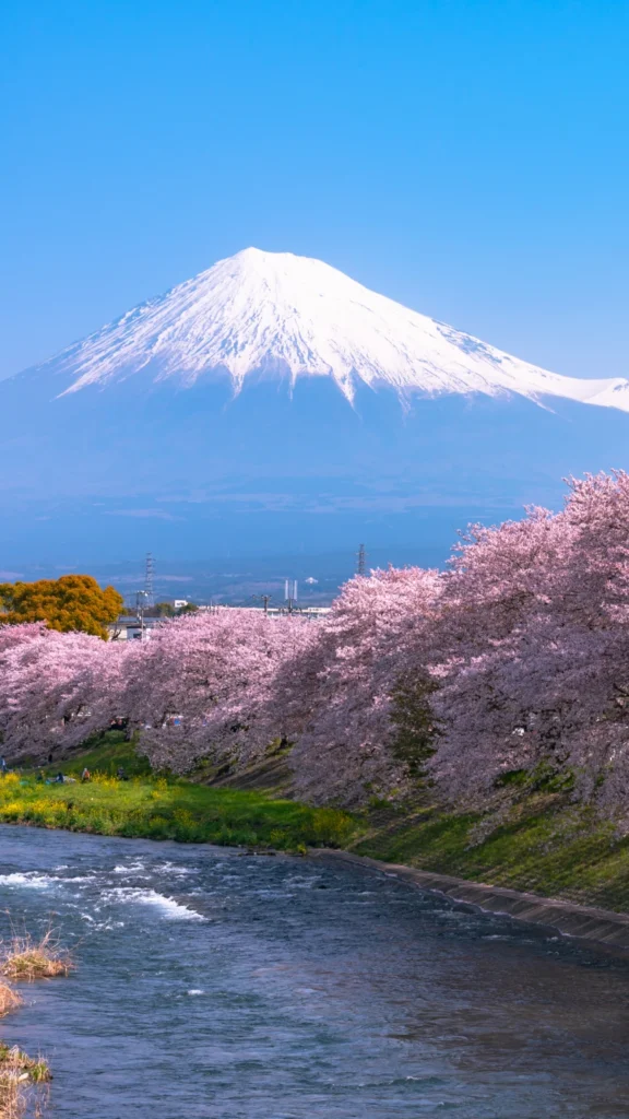 Góra Fuji